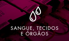 Selecione uma imagem